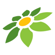 ICON PNG INSTAGRAM